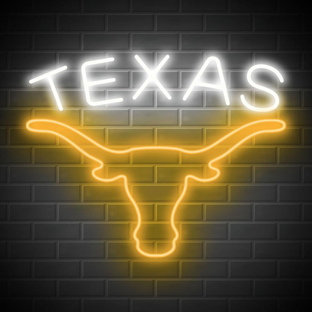 TEXAS LONGHORN NEON LED SIGN